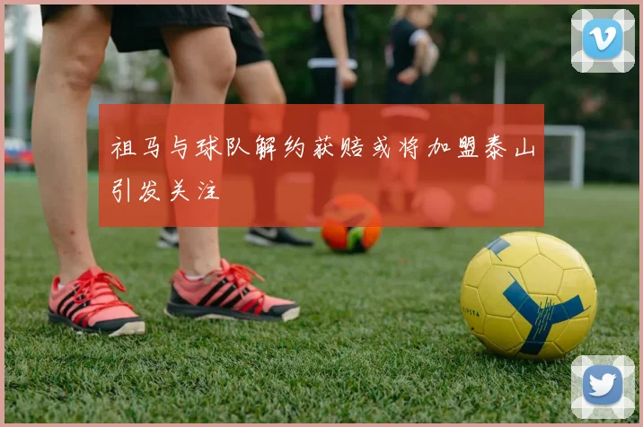 祖马与球队解约获赔或将加盟泰山引发关注